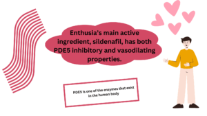 Enthusia’s main active ingredient, sildenafil, has both PDE5 inhibitory and vasodilating properties.